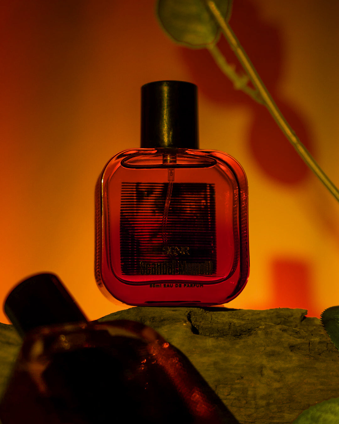Scandal Memoir Eau de Parfum 50ml SGNR Perfume UNISEX