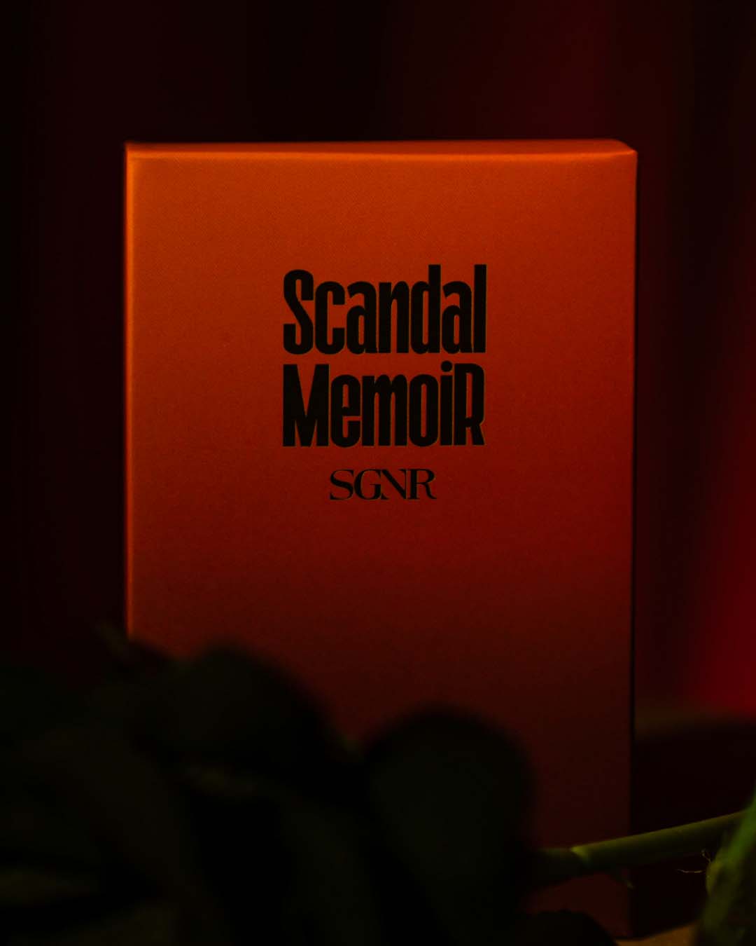 Scandal Memoir Eau de Parfum 50ml SGNR Perfume UNISEX